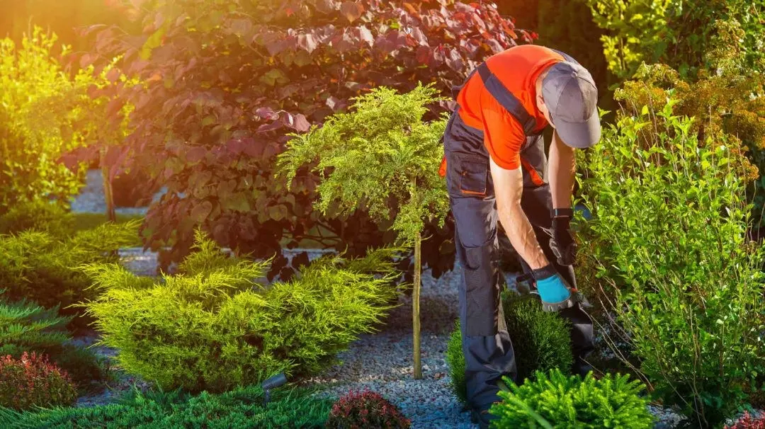 Get A Quote From A Local Gardener