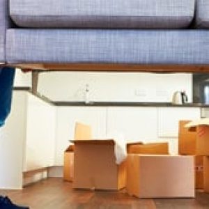Standard Moving Standard Moving service in dubai
